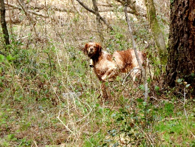 de la croix de l'hermite